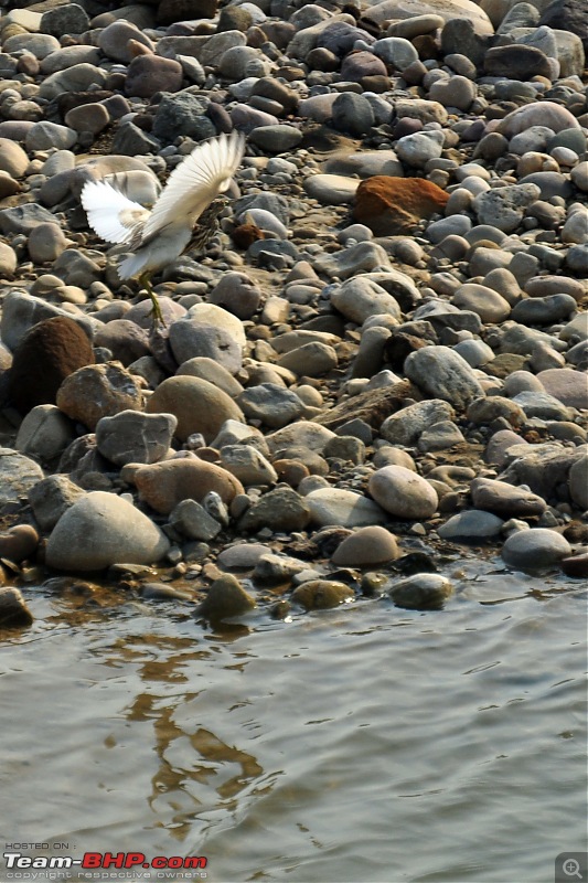 A short trip for a long weekend - Corbett with the Mahindra Scorpio-dsc_0154.jpg