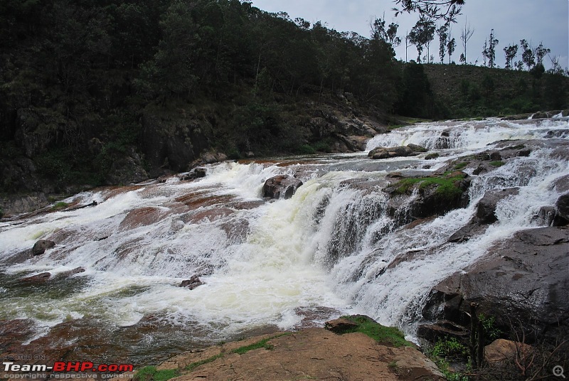 Another Trip Report to Ooty!-dsc_1826.jpg