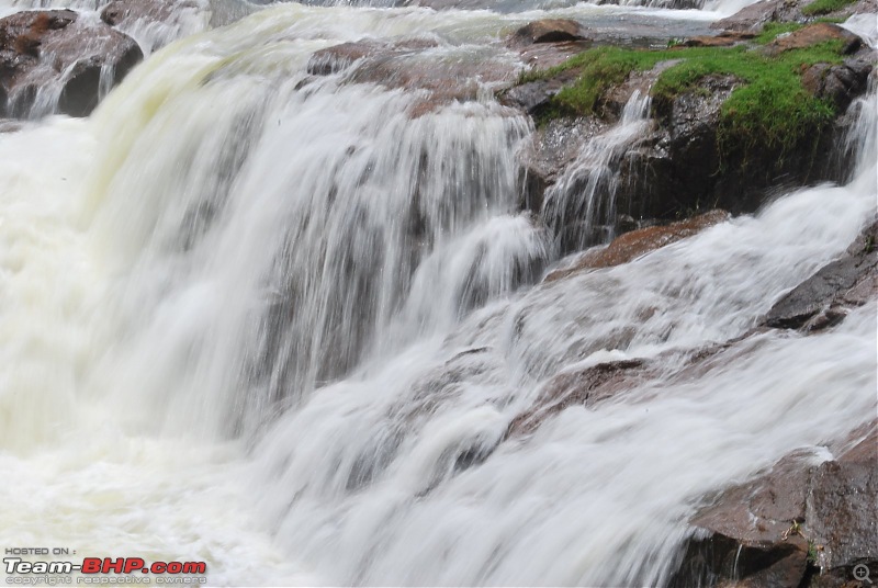 Another Trip Report to Ooty!-dsc_1831.jpg