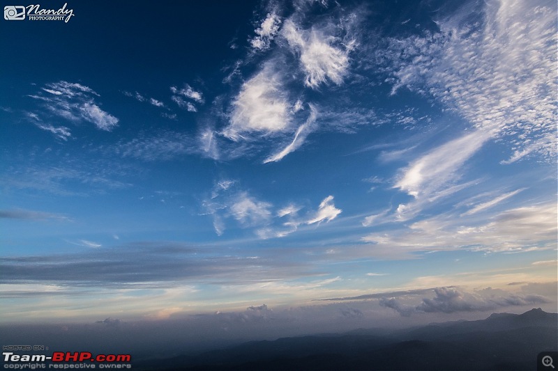 When brown turns green  Ride to Chikmagalur!-dsc_0428.jpg