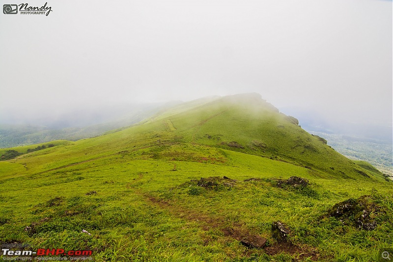 When brown turns green  Ride to Chikmagalur!-dsc_0507.jpg