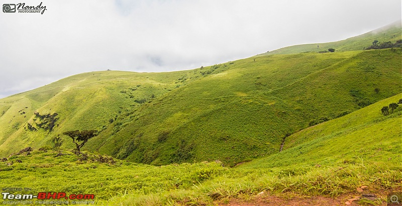 When brown turns green  Ride to Chikmagalur!-dsc_0558.jpg