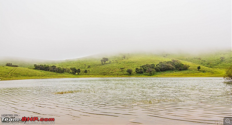 When brown turns green  Ride to Chikmagalur!-dsc_0560.jpg