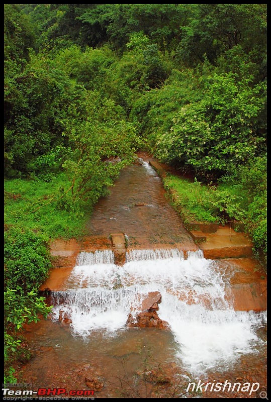 Bangalore to Malnad Drive-img_6714.jpg