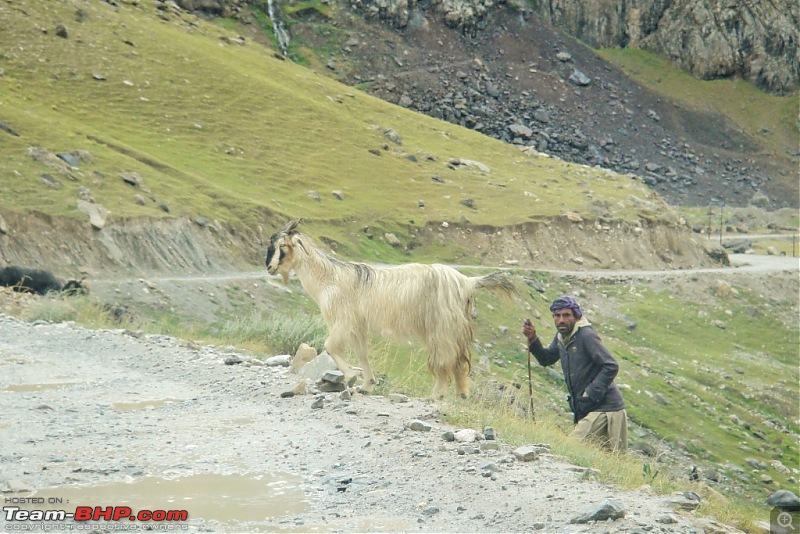 Sailed through the high passes in Hatchbacks, SUVs & a Sedan - Our Ladakh chapter from Kolkata-d6.12.jpg