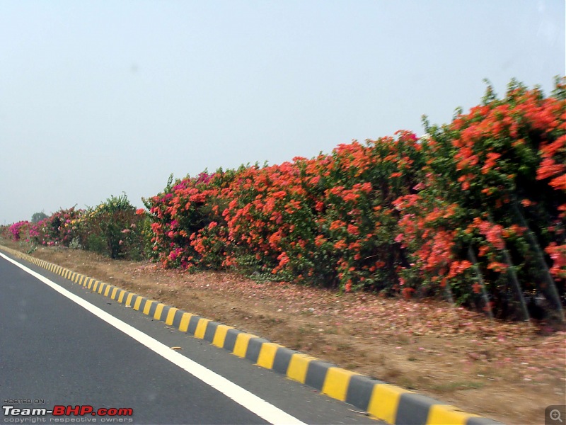 Delhi-Pune-Shirdi-Mt. Abu-Delhi - A 4000-km Roadtrip-dsc05233k600.jpg