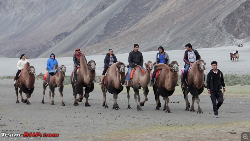 Sailed through the high passes in Hatchbacks, SUVs & a Sedan - Our Ladakh chapter from Kolkata-d8.36.jpg