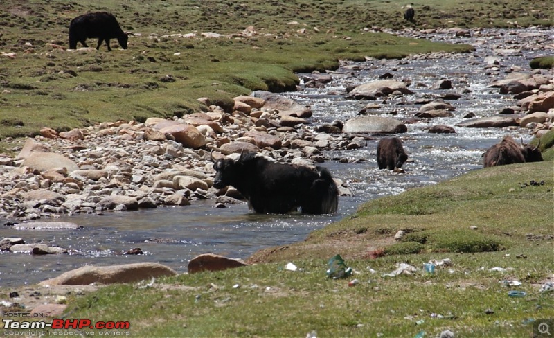 Sailed through the high passes in Hatchbacks, SUVs & a Sedan - Our Ladakh chapter from Kolkata-d9.4.jpg