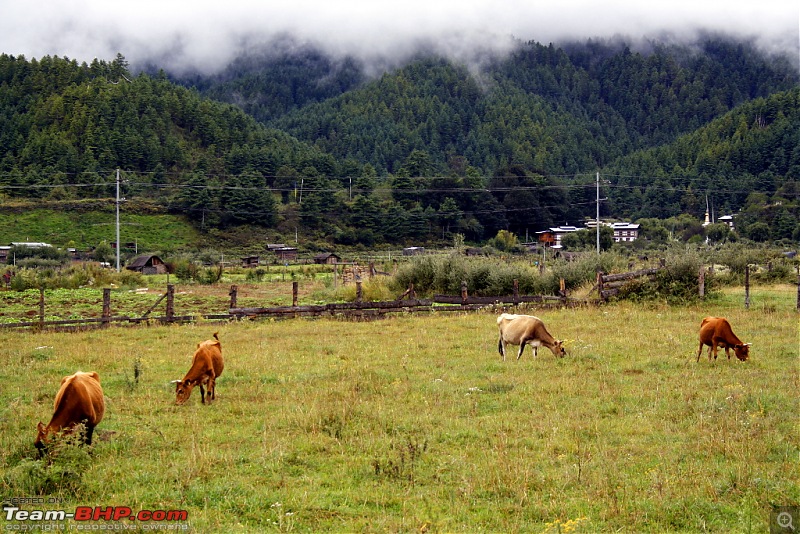 Where no Elantra has gone before - 5500 kms, 6 States & Bhutan!-bumthang_03.jpg