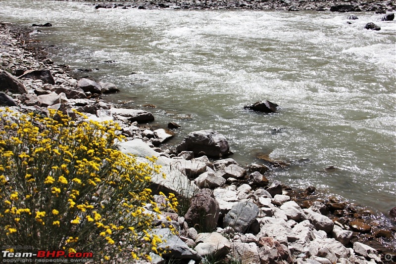 Sailed through the high passes in Hatchbacks, SUVs & a Sedan - Our Ladakh chapter from Kolkata-d12.7.jpg