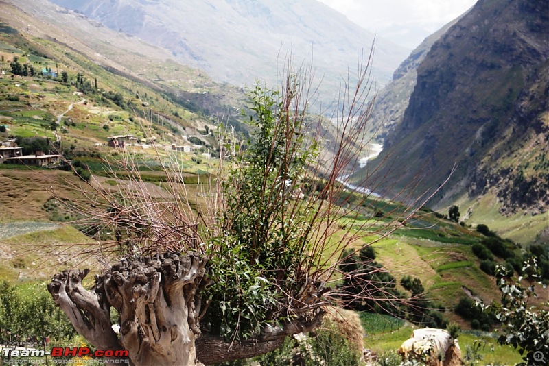 Sailed through the high passes in Hatchbacks, SUVs & a Sedan - Our Ladakh chapter from Kolkata-d15.3.jpg