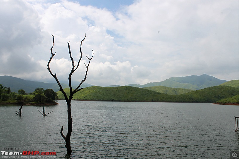 Horse-Face: The Jewel of Western Ghats-img_1990.jpg