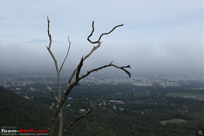 Sights of Mesmerizing Mysore and Captivating Coorg-mys_coo_0017.jpg