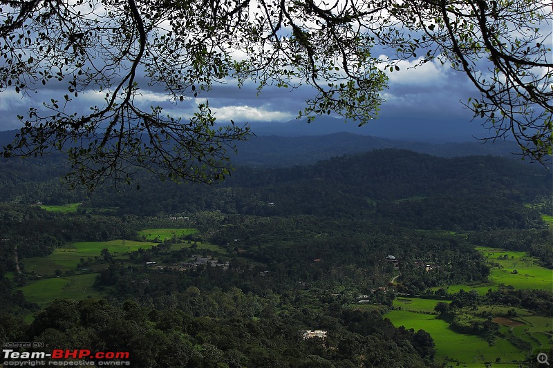 Sights of Mesmerizing Mysore and Captivating Coorg-mys_coo_0360.jpg