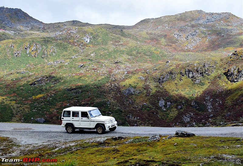 Zuluk from the back seat-dsc_0296.jpg