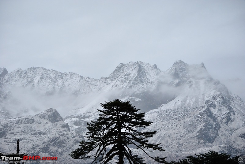 In the abode of the Himalayas - Hiking 4000 meters up to Dzongri-mountainviews_01.jpg