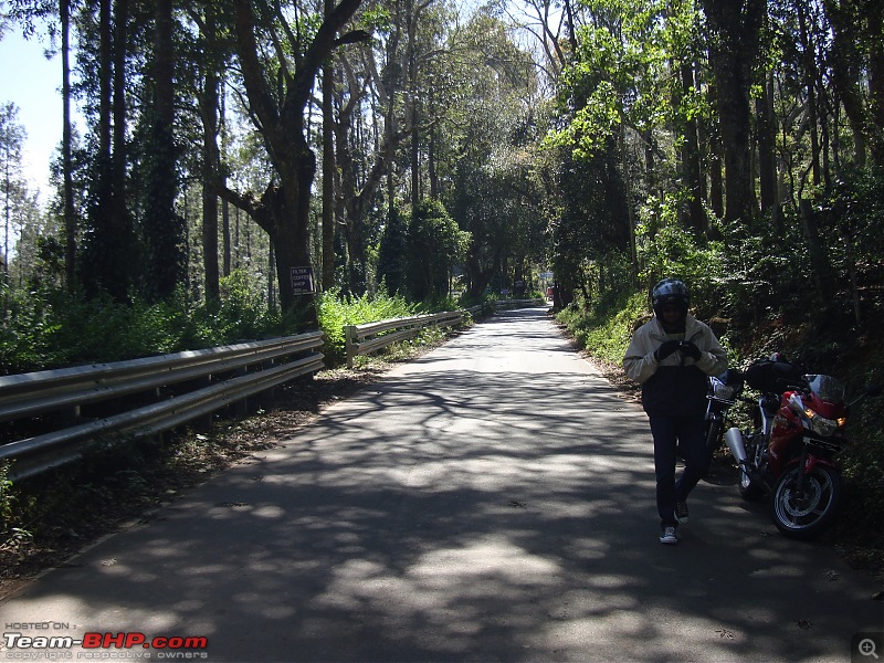 Chennai - Yercaud - Valparai!-dsc06652.jpg