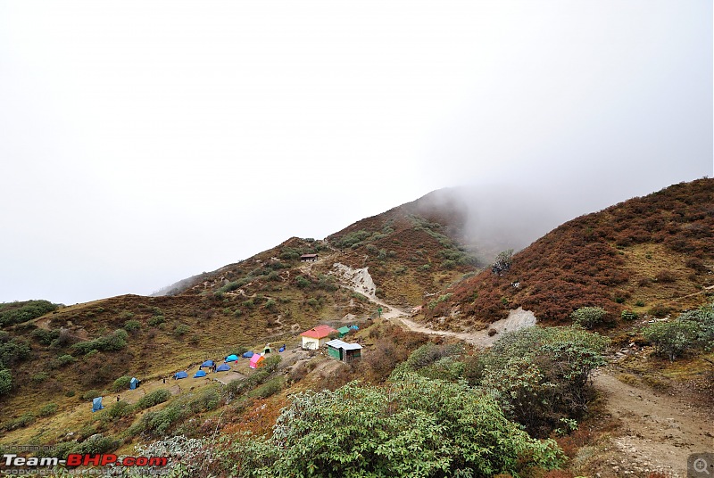 In the abode of the Himalayas - Hiking 4000 meters up to Dzongri-dzongricamp.jpg