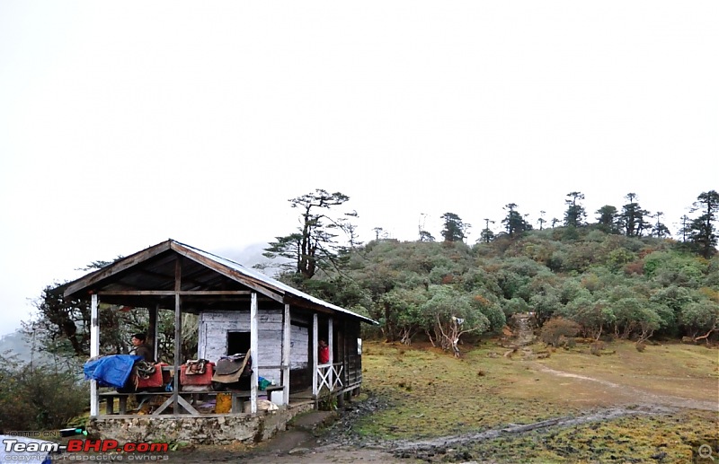 In the abode of the Himalayas - Hiking 4000 meters up to Dzongri-trekkers-hutphedang.jpg