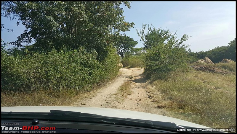 A morning drive to Shettihalli (Rosary Church Ruins)...with a twist in the plot-7.jpg