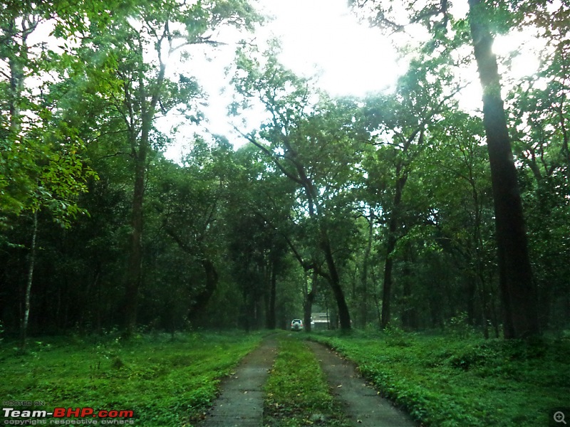 A thrilling weekend at the Manampalli Forest-8.jpg