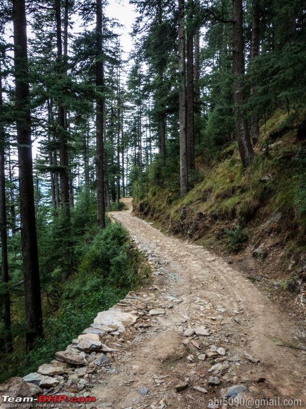 Tranquil Himachal, Arduous Jalori!-p1050045_web.jpg