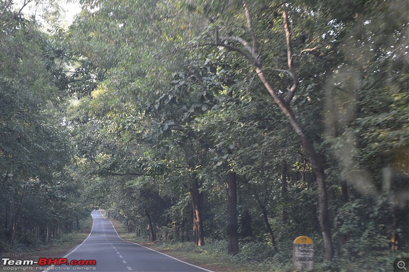 Go..Goa..Gone! Road trip from Bangalore -> Shimoga -> Goa-dsc_0534.jpg