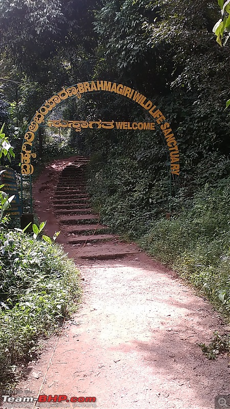 Across the plains and around the hills to drive by the sea (Virajpet, Kannur & Muzhappilangad)-wildlife-santuary.jpg