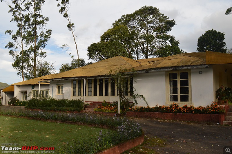 A fascinating drive to the land of tea estates - Chennai to Valparai-dsc_0217.jpg