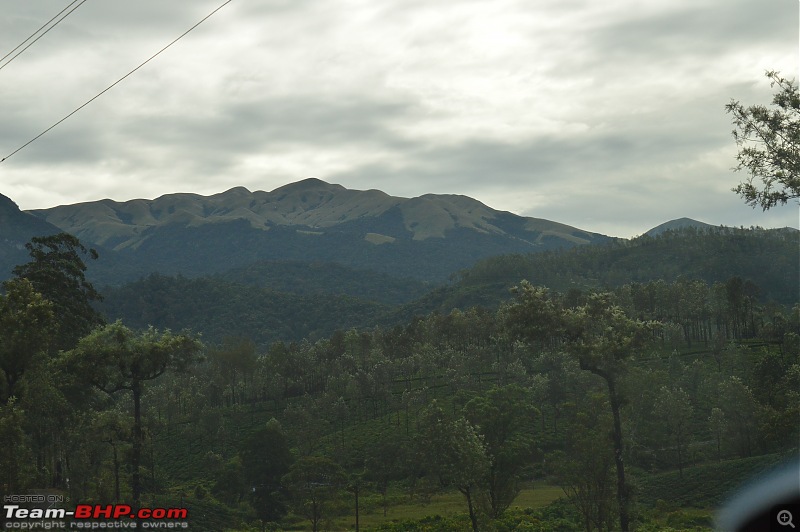 A fascinating drive to the land of tea estates - Chennai to Valparai-dsc_0694.jpg