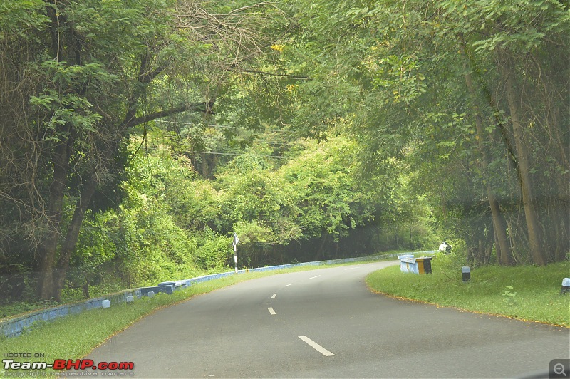 A fascinating drive to the land of tea estates - Chennai to Valparai-dsc_0852.jpg