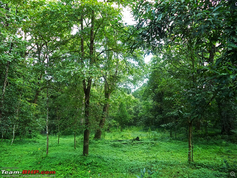 A thrilling weekend at the Manampalli Forest-43.jpg