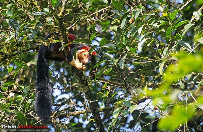 A thrilling weekend at the Manampalli Forest-47.jpg