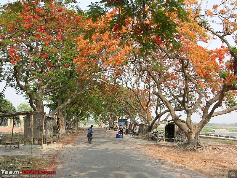 Trails of Magadh-dscn5240.jpg