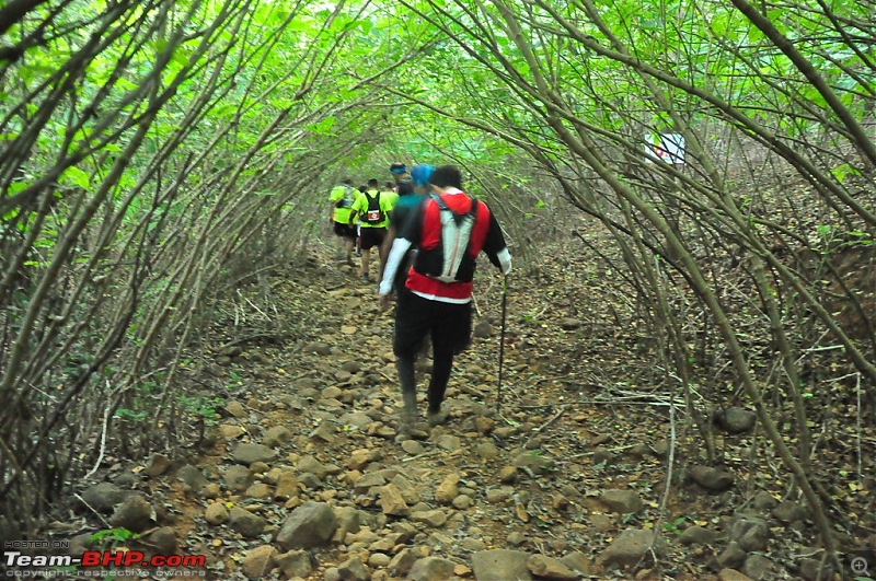 Trekking 100 kms from Garudmaachi to Lonavla! How hard can it be?-dsc_0264.jpg