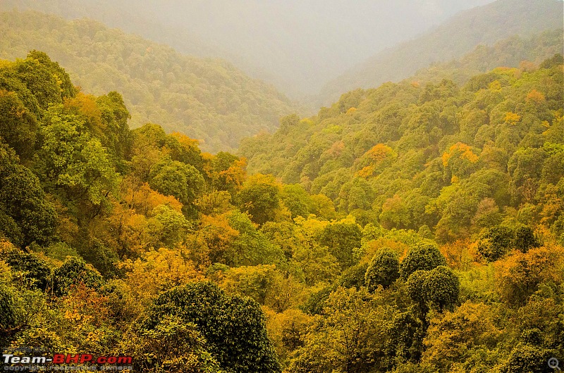 Tonglu: Wheels on the Holy Road-05_dsc73622.jpg