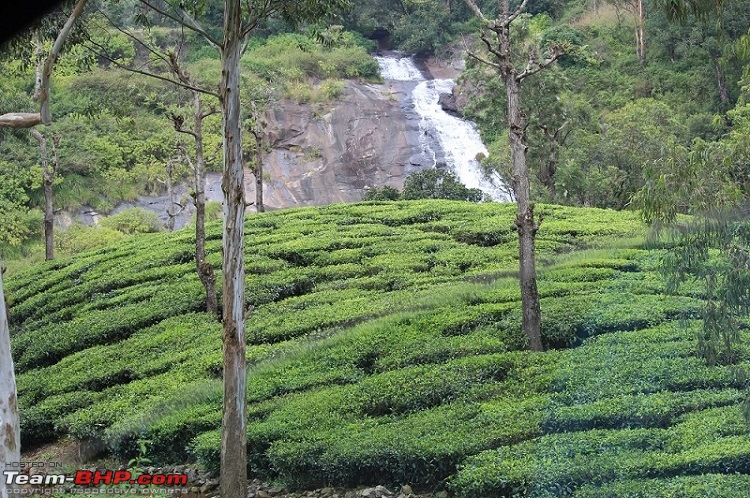 Raje's visit to Valparai (from Chennai)-46tea-falls.jpg