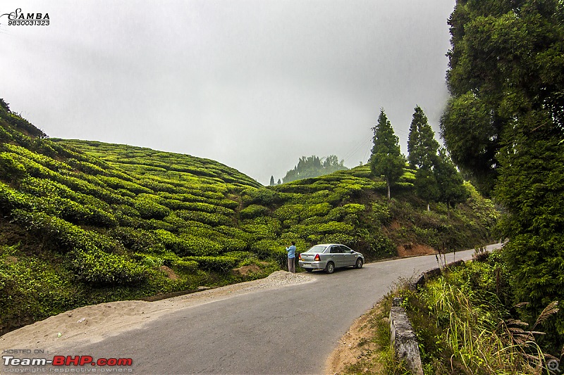 Darjeeling, Parts of Sikkim & Dooars in a Toyota Etios-img_8384.jpg