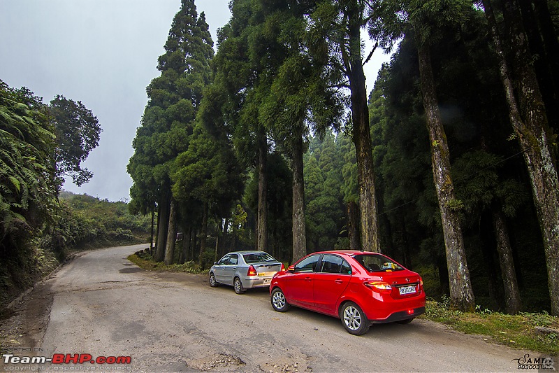 Darjeeling, Parts of Sikkim & Dooars in a Toyota Etios-img_8393.jpg