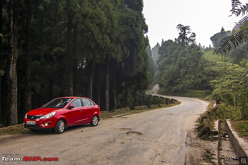 Darjeeling, Parts of Sikkim & Dooars in a Toyota Etios-img_8391.jpg