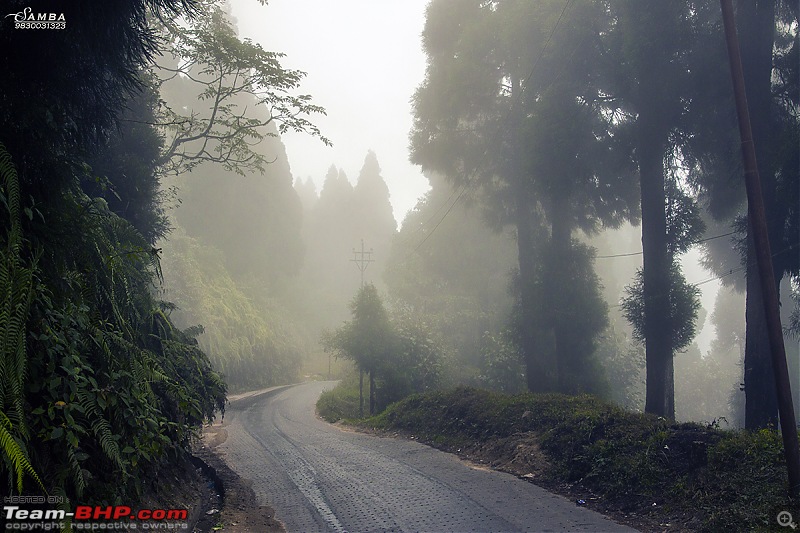 Darjeeling, Parts of Sikkim & Dooars in a Toyota Etios-img_8387.jpg
