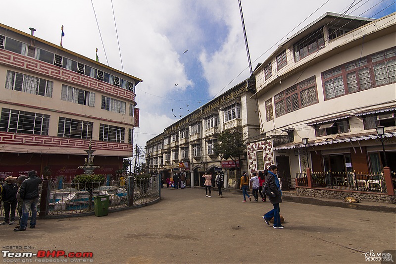 Darjeeling, Parts of Sikkim & Dooars in a Toyota Etios-img_8395.jpg