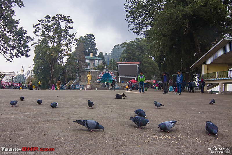 Darjeeling, Parts of Sikkim & Dooars in a Toyota Etios-img_8411.jpg