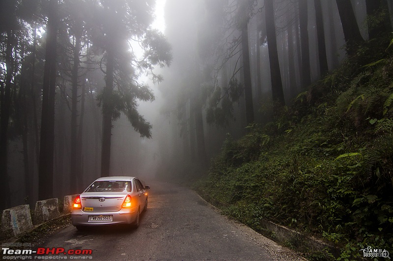 Darjeeling, Parts of Sikkim & Dooars in a Toyota Etios-img_8440.jpg