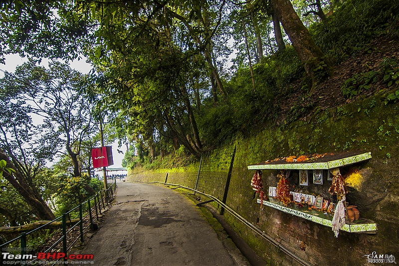 Darjeeling, Parts of Sikkim & Dooars in a Toyota Etios-img_8483.jpg