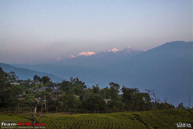 Darjeeling, Parts of Sikkim & Dooars in a Toyota Etios-img_8614.jpg