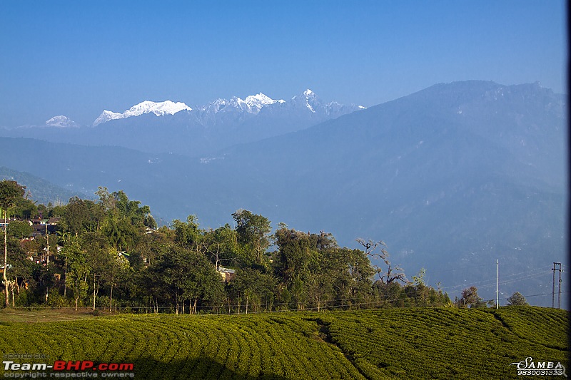 Darjeeling, Parts of Sikkim & Dooars in a Toyota Etios-img_8643.jpg