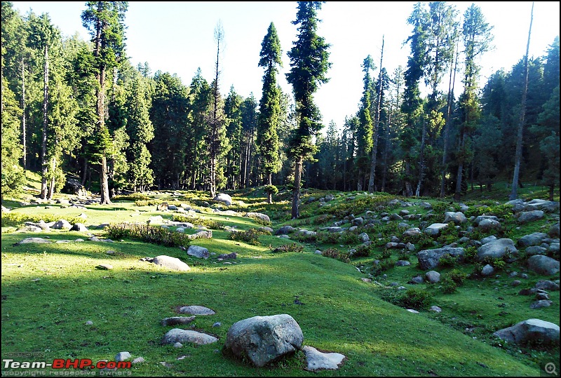 Honda City i-DTEC: 5300 kms in 13 days! A family road-trip to the Vale of Kashmir!-dscn5362.jpg