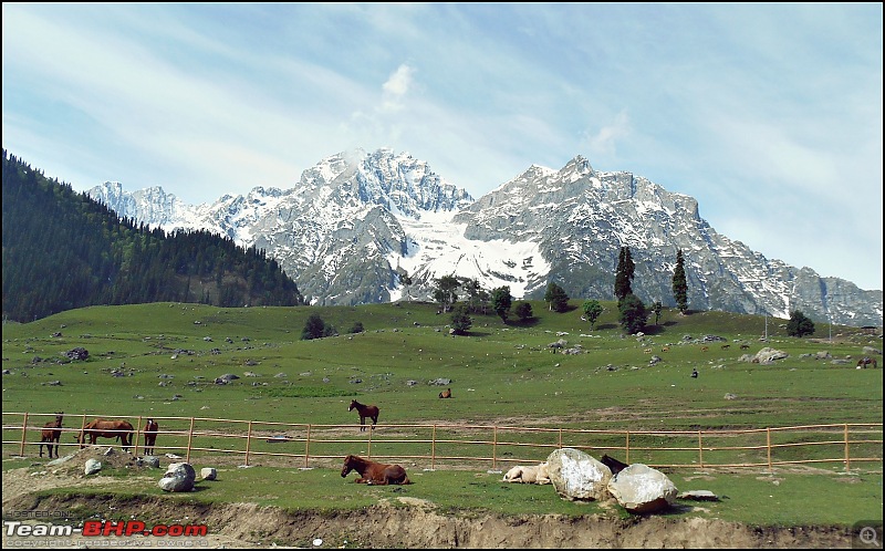 Honda City i-DTEC: 5300 kms in 13 days! A family road-trip to the Vale of Kashmir!-dscn5753.jpg