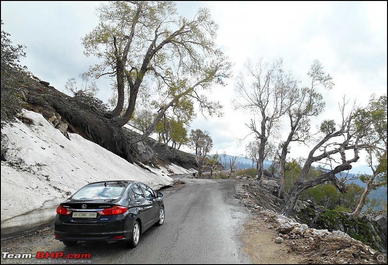 Honda City i-DTEC: 5300 kms in 13 days! A family road-trip to the Vale of Kashmir!-dscn6360.jpg